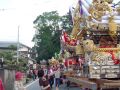 DSC01554.JPG