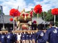 DSC01562.JPG