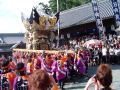DSC01568.JPG