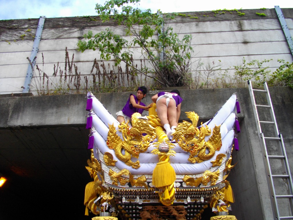 IMGP0651.JPG