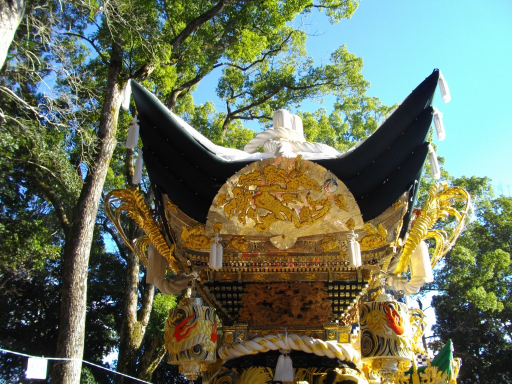 IMGP0737.JPG