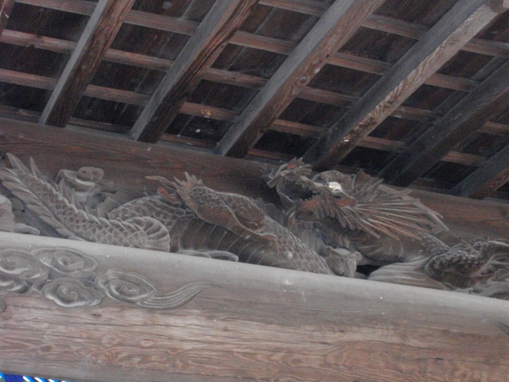 IMGP0750.JPG